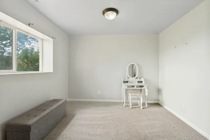 Neutral-toned room with light gray walls, plush carpet flooring, a multi-pane window, and a flush-mount ceiling light fixture