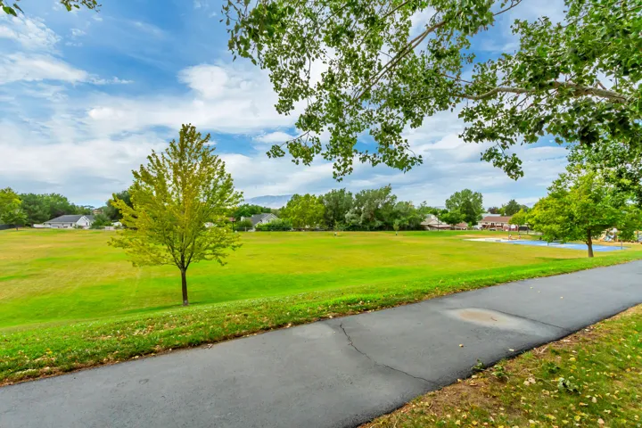 Expansive green space featuring mature trees and a paved pathway