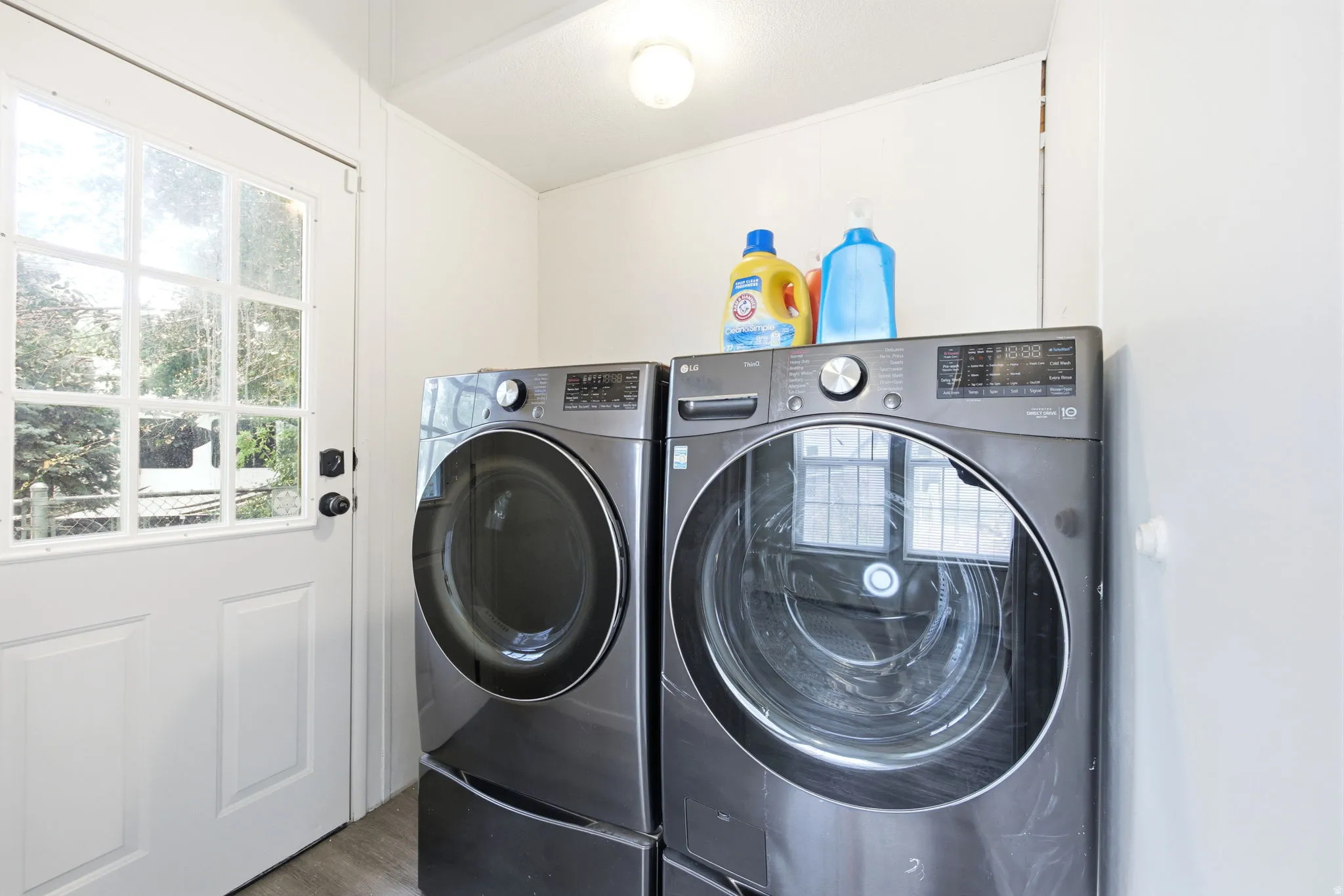 Dedicated laundry area featuring a white paneled door with glass inserts, wood-finish flooring, and a flush-mount ceiling light fixture