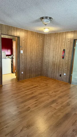 Room featuring wood-finish paneling, wood-finish flooring, and two ceiling-mounted light fixtures