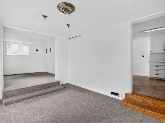 Carpeted room with white walls, two-step carpeted elevation, and an entrance to a room with a window featuring white horizontal blinds