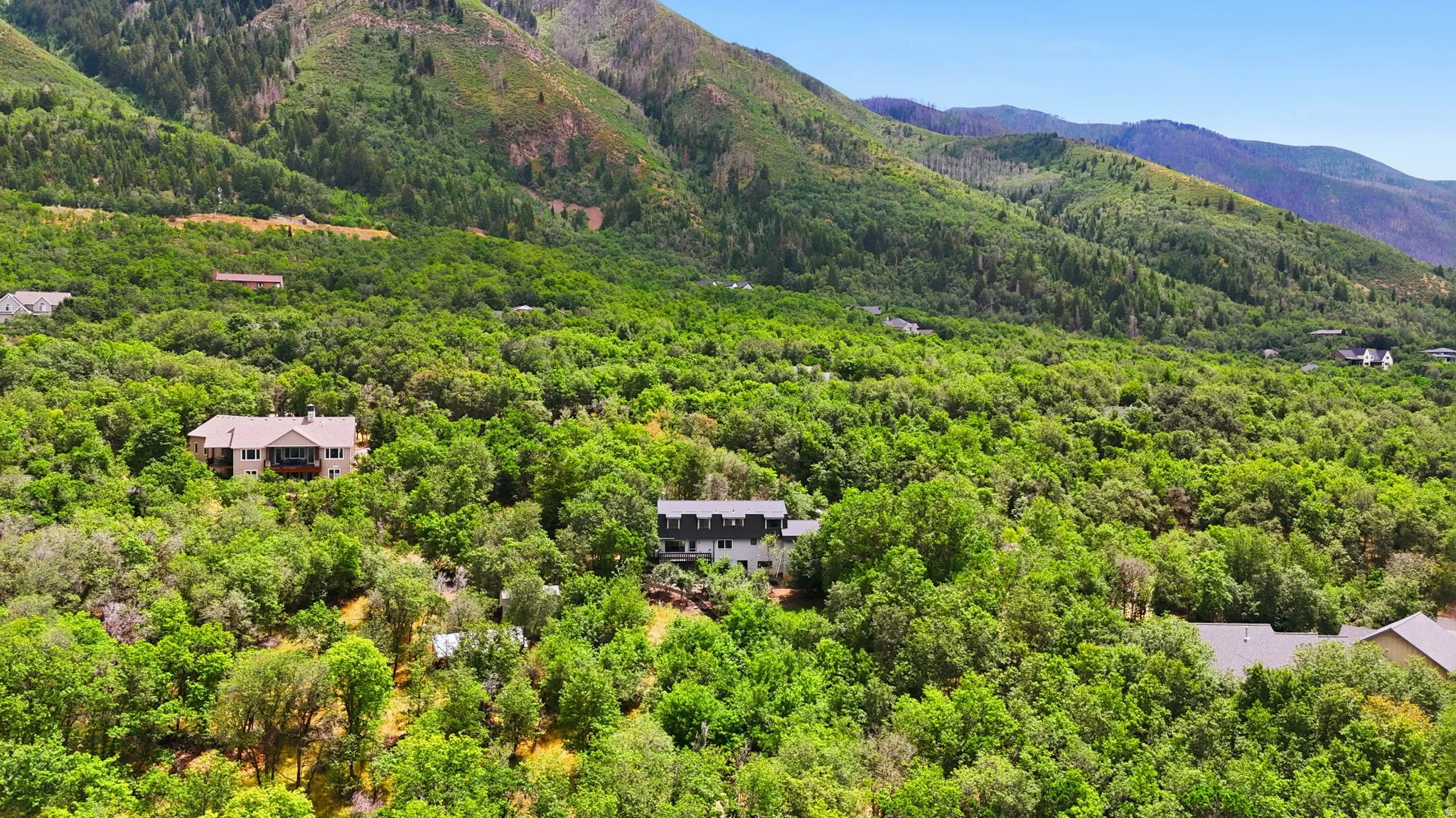 Lush, verdant hillside setting with abundant mature trees and distant mountain ranges