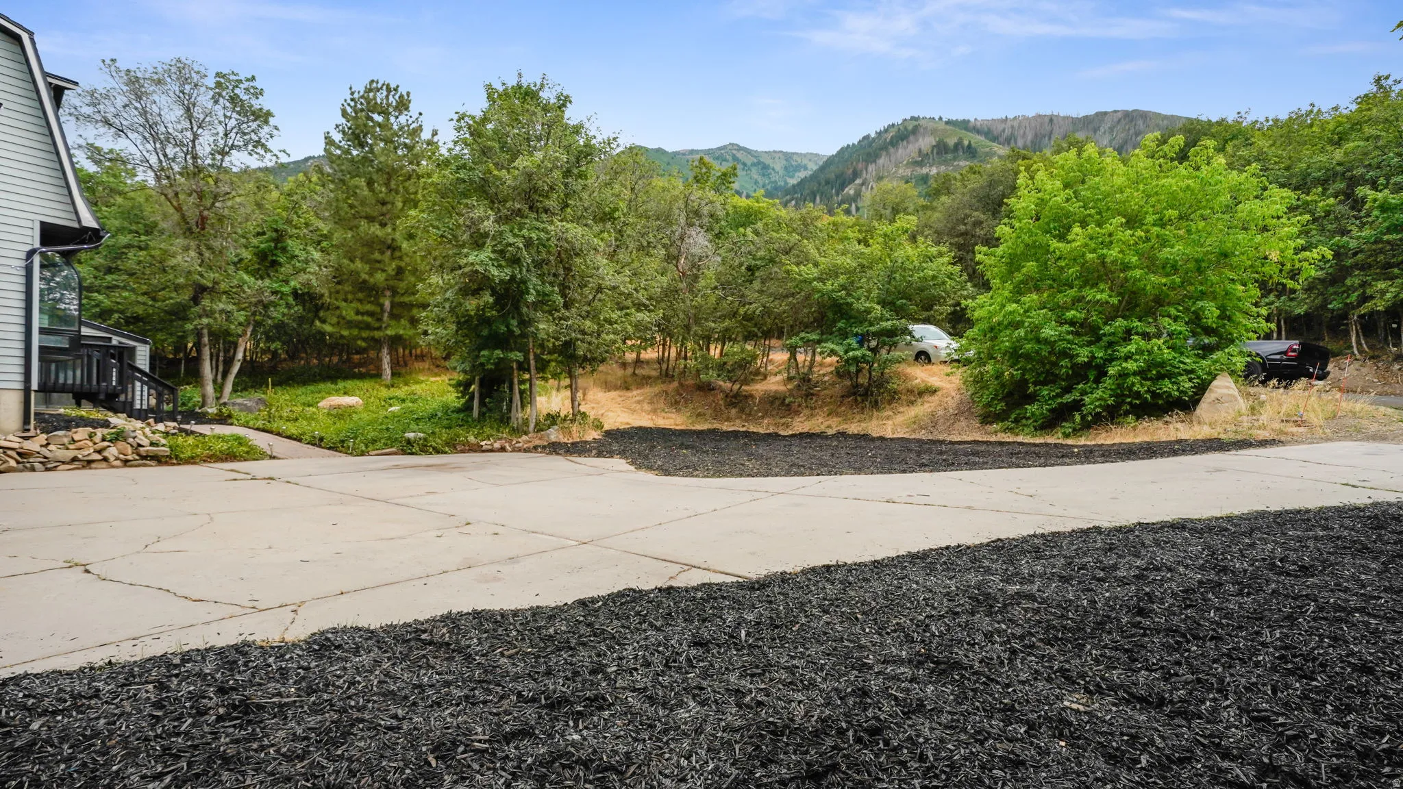 Paved driveway with black ground cover, bordered by mature trees and natural landscaping
