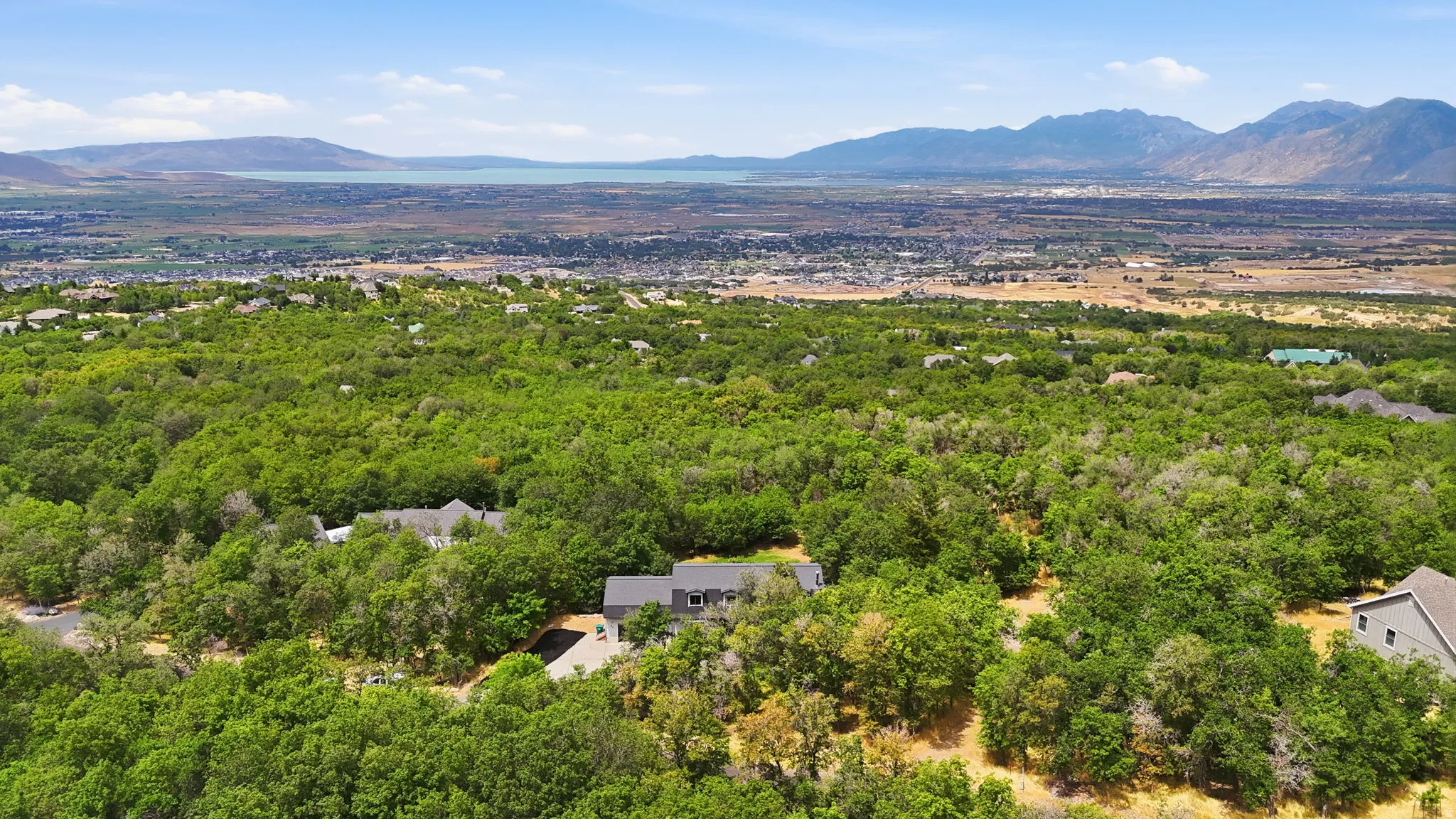 Expansive property surrounded by mature trees, offering a private setting