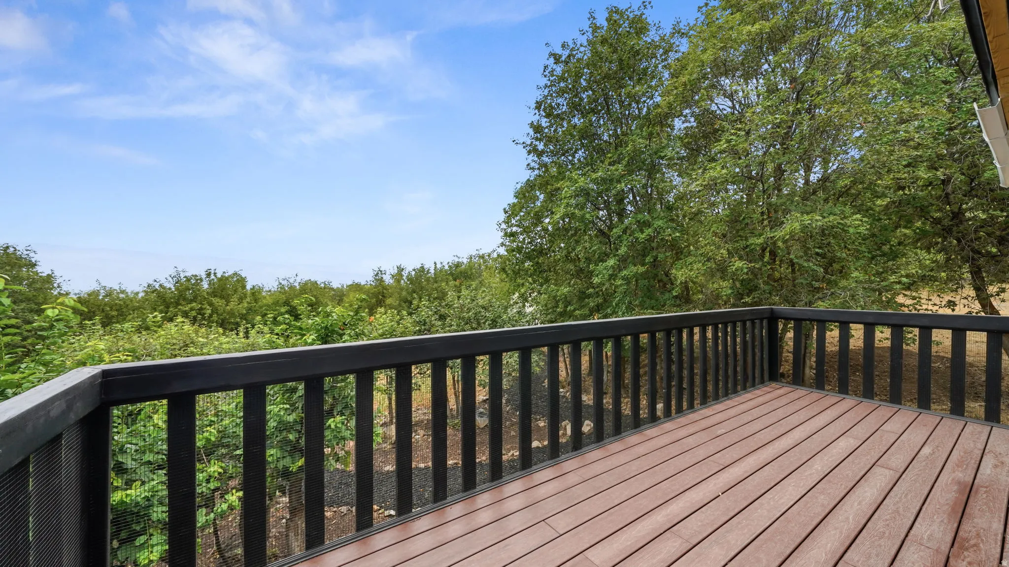 Spacious exterior deck with wood-finish flooring and black railing, surrounded by mature trees and natural landscaping