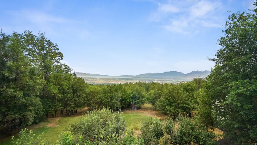 Expansive natural landscape featuring lush green foliage and distant mountains under a clear sky