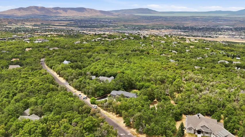 Expansive wooded landscape with a paved roadway winding through mature trees and distant mountain ranges
