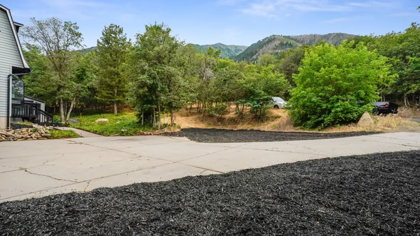 Paved driveway with black ground cover, bordered by mature trees and natural landscaping