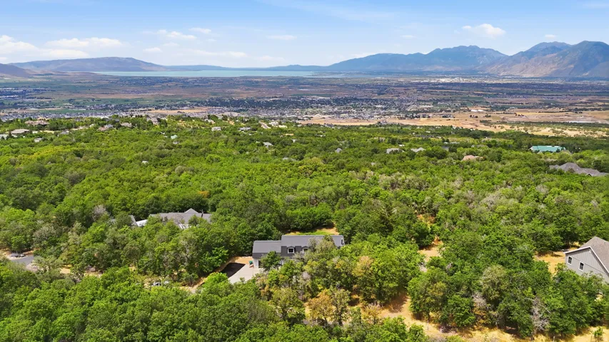 Expansive property surrounded by mature trees, offering a private setting