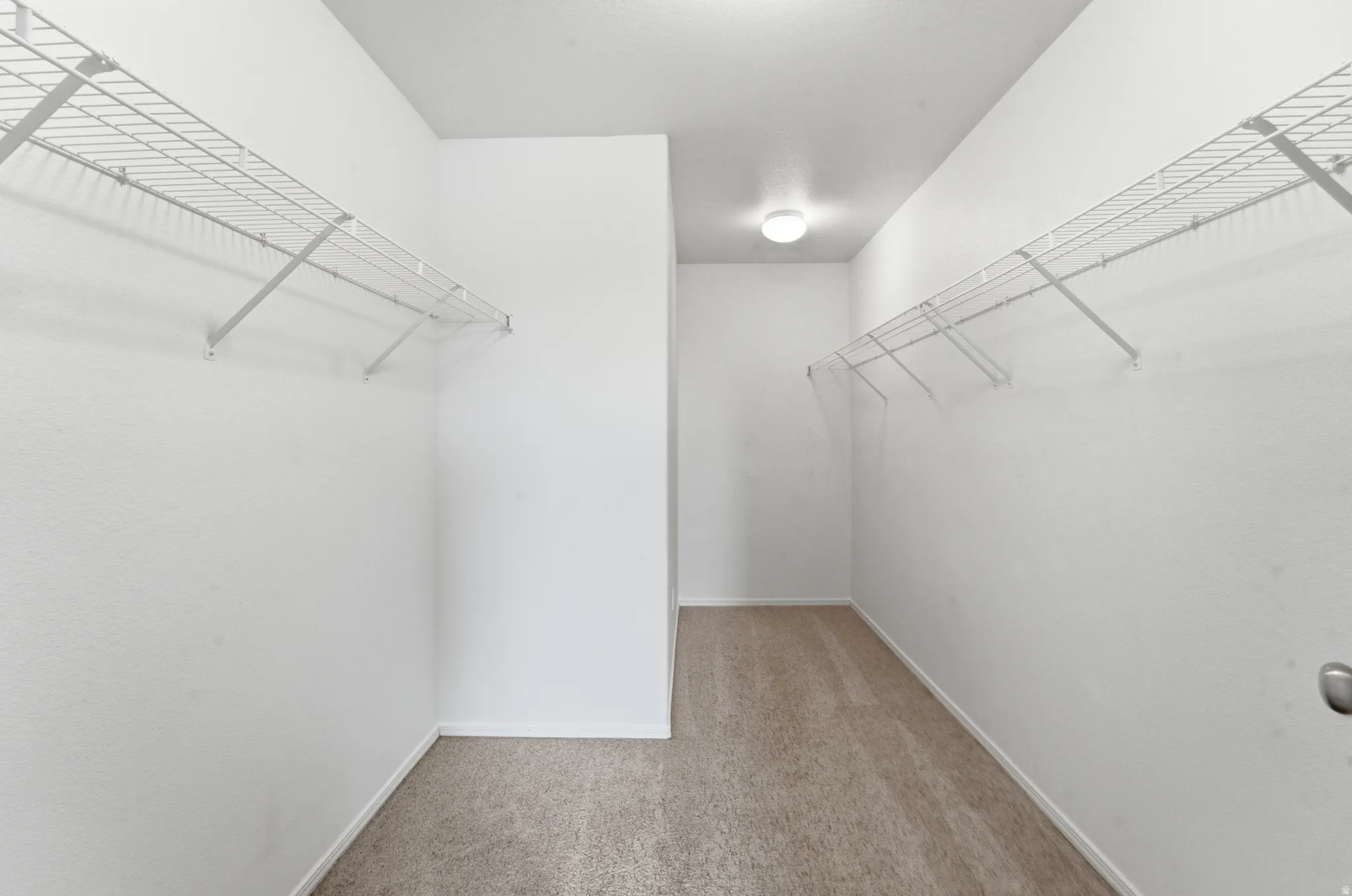 Walk-in closet featuring carpet flooring, two walls with wire shelving, and an overhead flush-mount light fixture