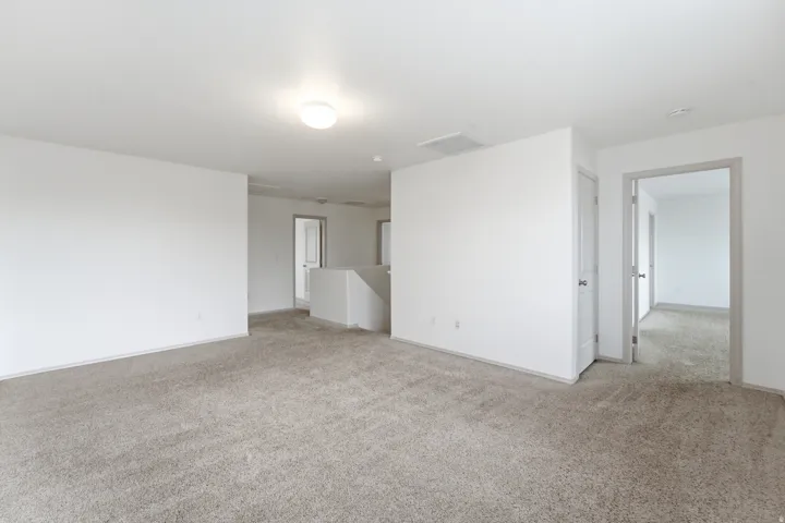 Spacious carpeted area with white walls and trim, featuring multiple doorways and a ceiling-mounted light fixture