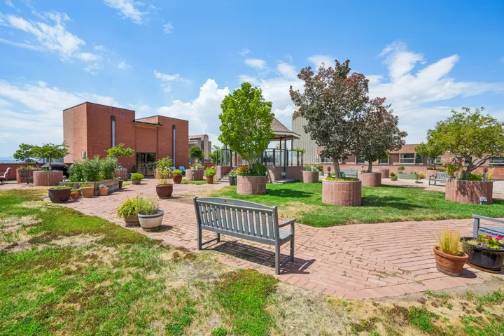 Expansive outdoor patio area featuring a brick walkway, manicured grass, and raised planters
