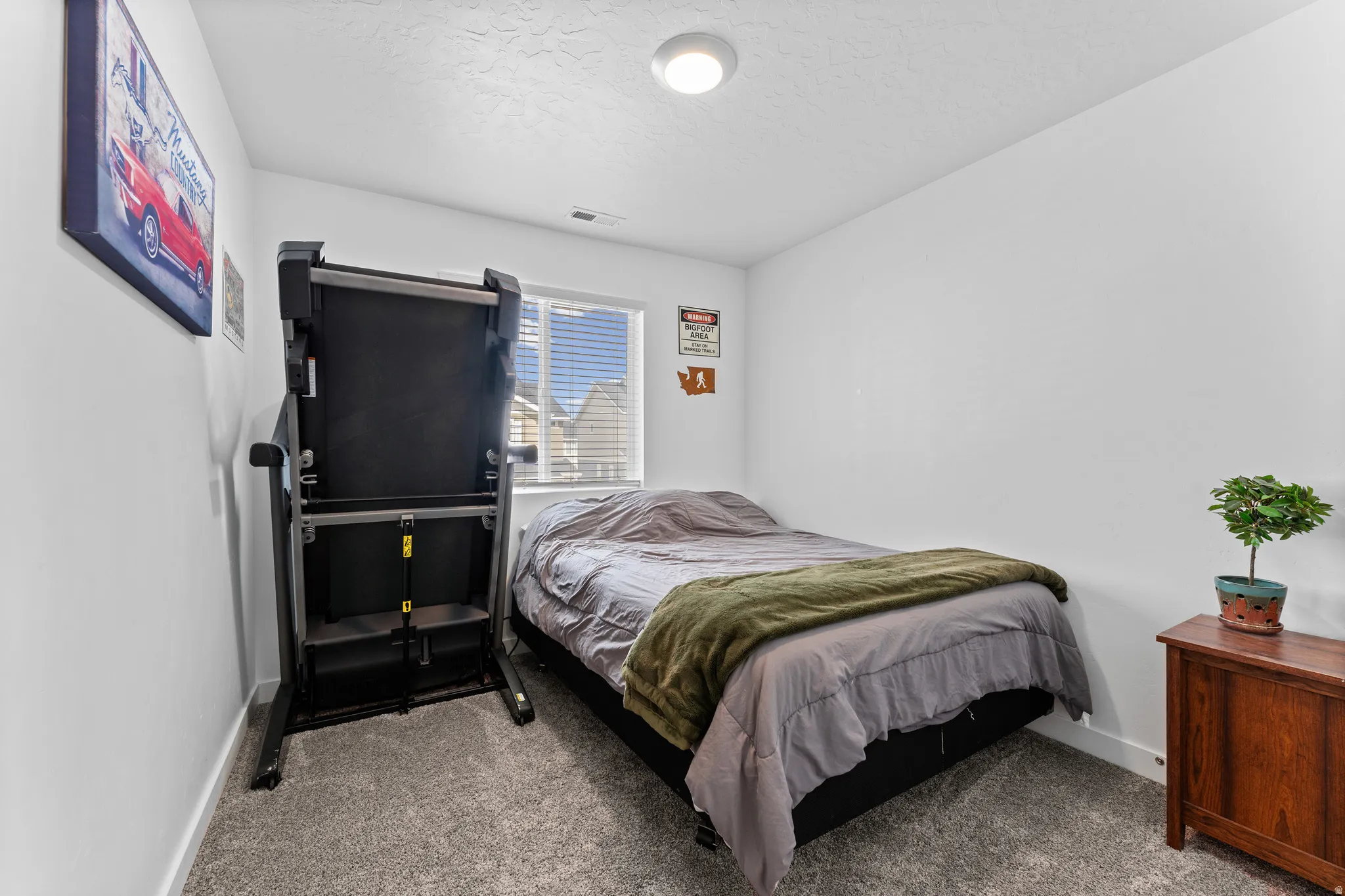 Bright room with a single window, featuring neutral-toned walls and grey carpet flooring