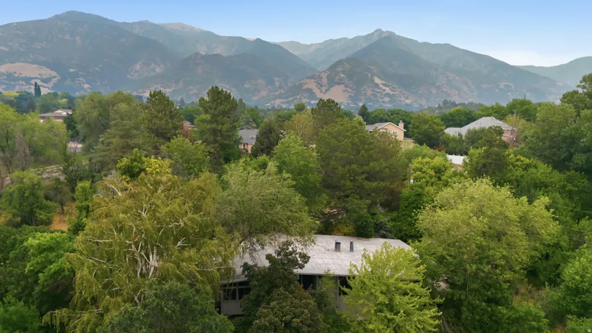 Lush, mature trees surrounding a residential property, with a mountainous backdrop
