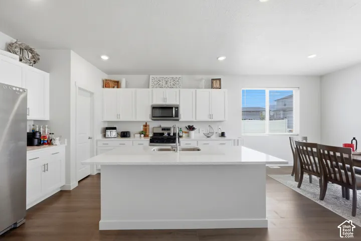 Kitchen featuring a large central island with an integrated sink, white cabinetry, stainless steel appliances, and wood-finish flooring