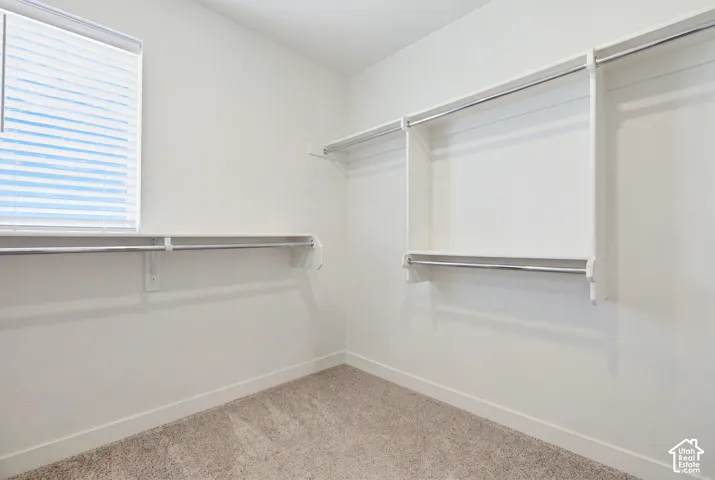 Walk-in closet featuring white shelving systems with chrome hanging rods, a window with horizontal blinds, and neutral-toned carpeting