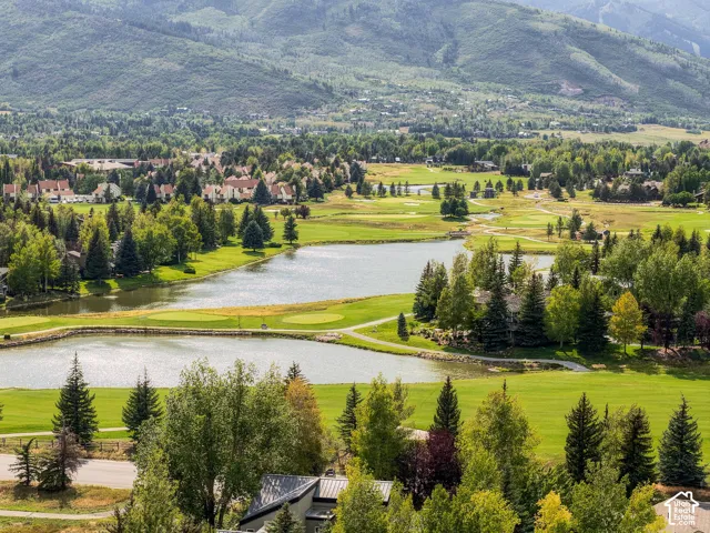 Lush green landscape featuring multiple ponds and distant mountain range