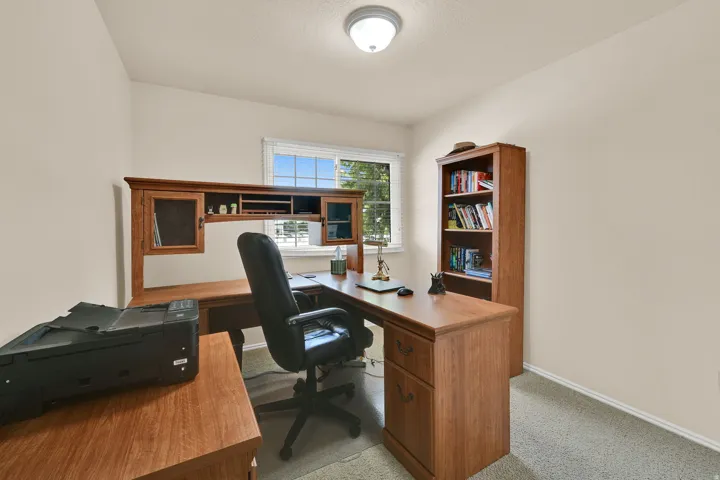 Neutral wall color with a double-pane window, flush-mount ceiling light, and carpet flooring