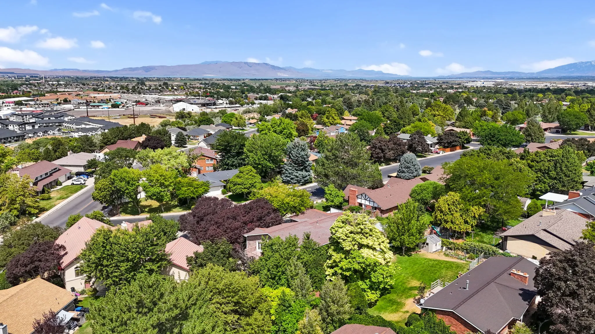 Expansive neighborhood with mature trees and varied residential architecture