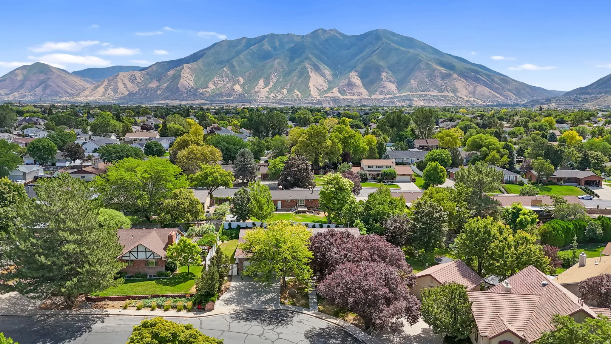 Residential neighborhood with mature trees under a clear sky