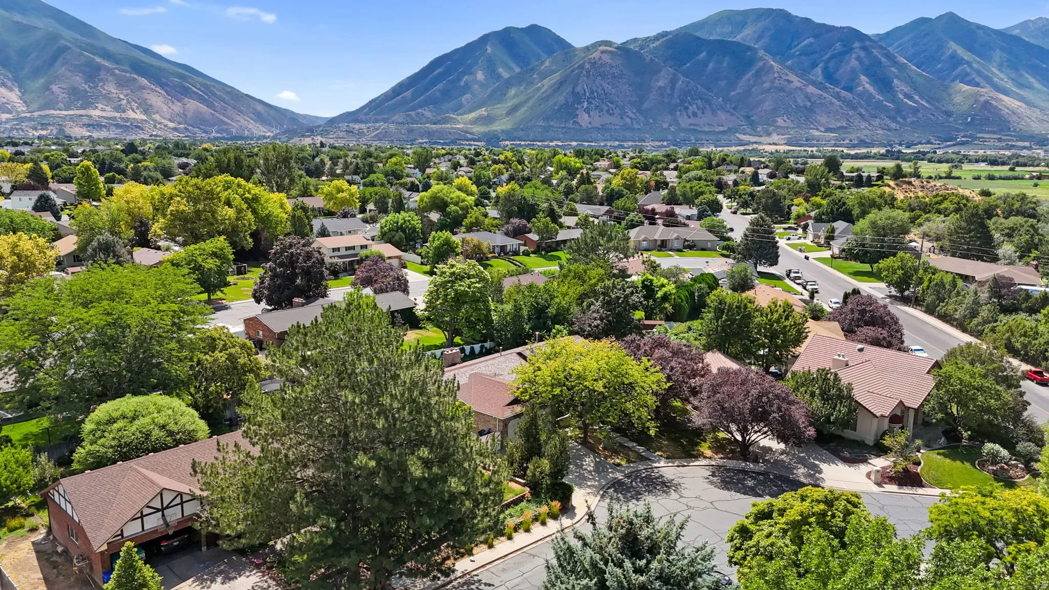 Sprawling residential neighborhood with mature trees, paved streets, and a mountainous backdrop