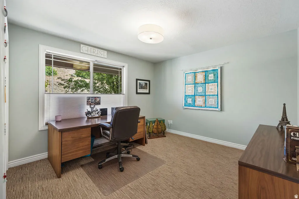 Room featuring a large window, neutral wall paint, textured carpet flooring, and a flush mount ceiling light
