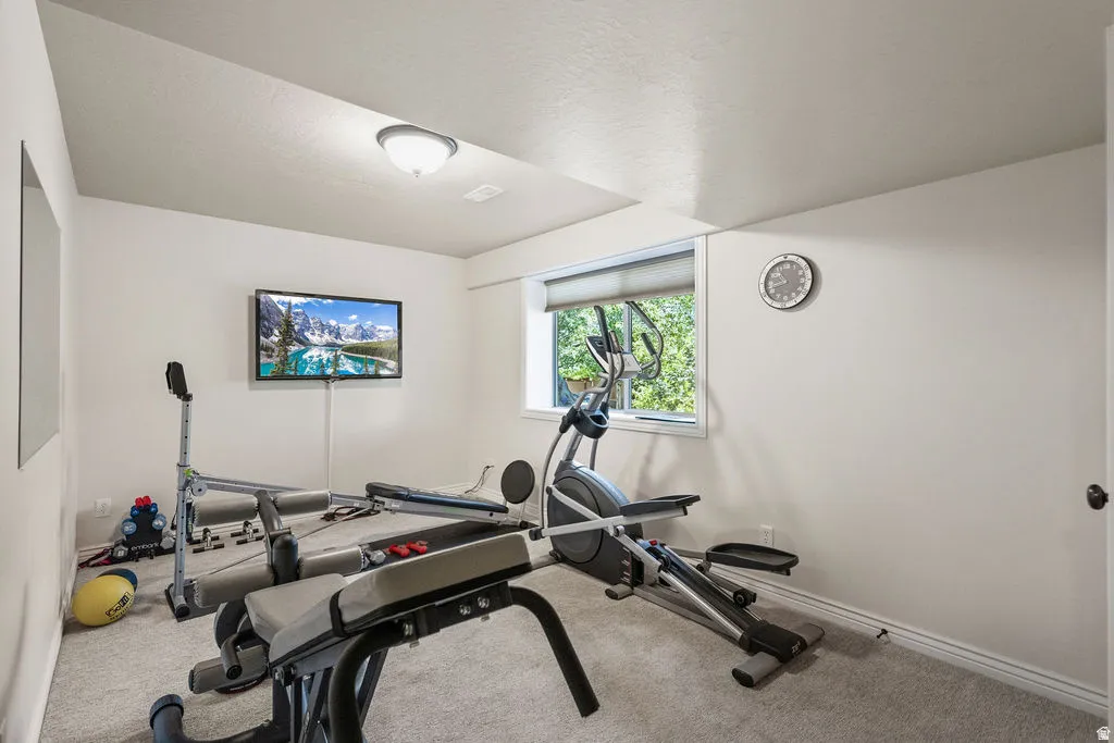 Carpeted room featuring a wall-mounted television, a window with a roller shade, and an overhead light fixture