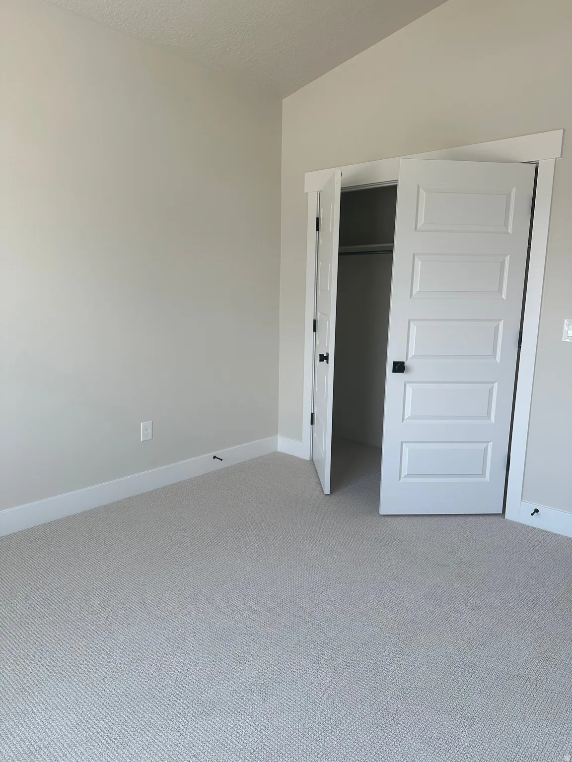 Plush carpeting throughout, paired with crisp white trim and a neutral wall color
