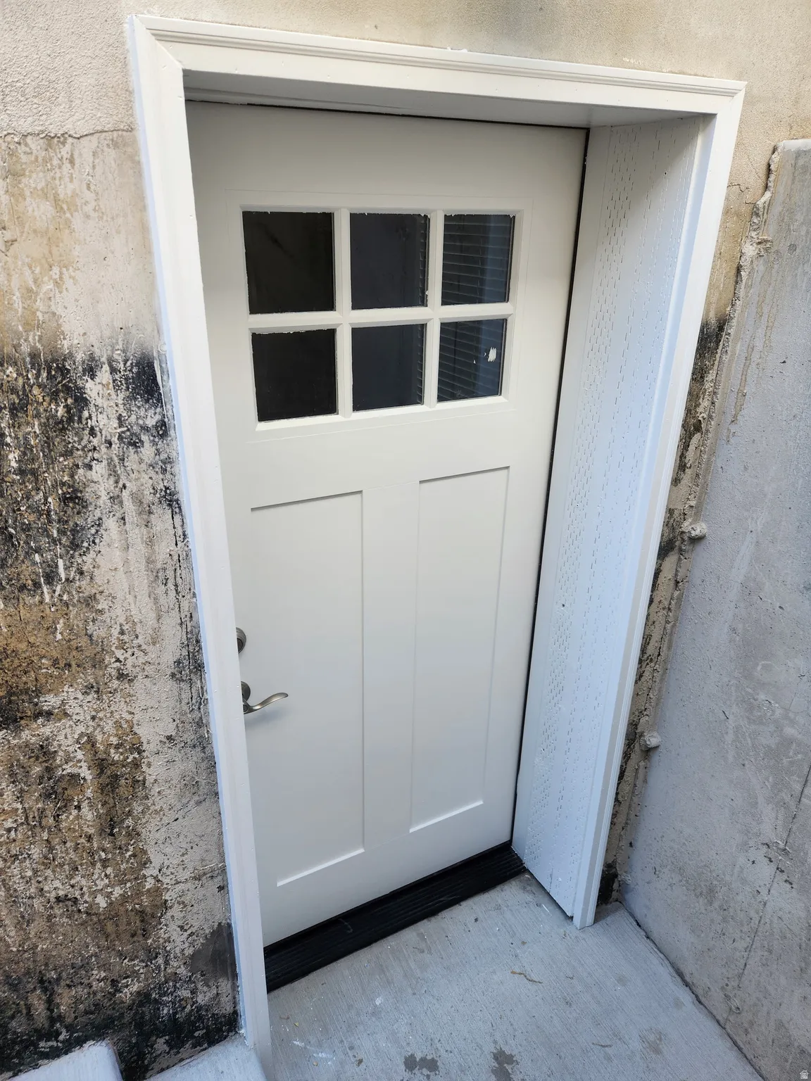 White craftsman-style door with upper window panes and brass hardware