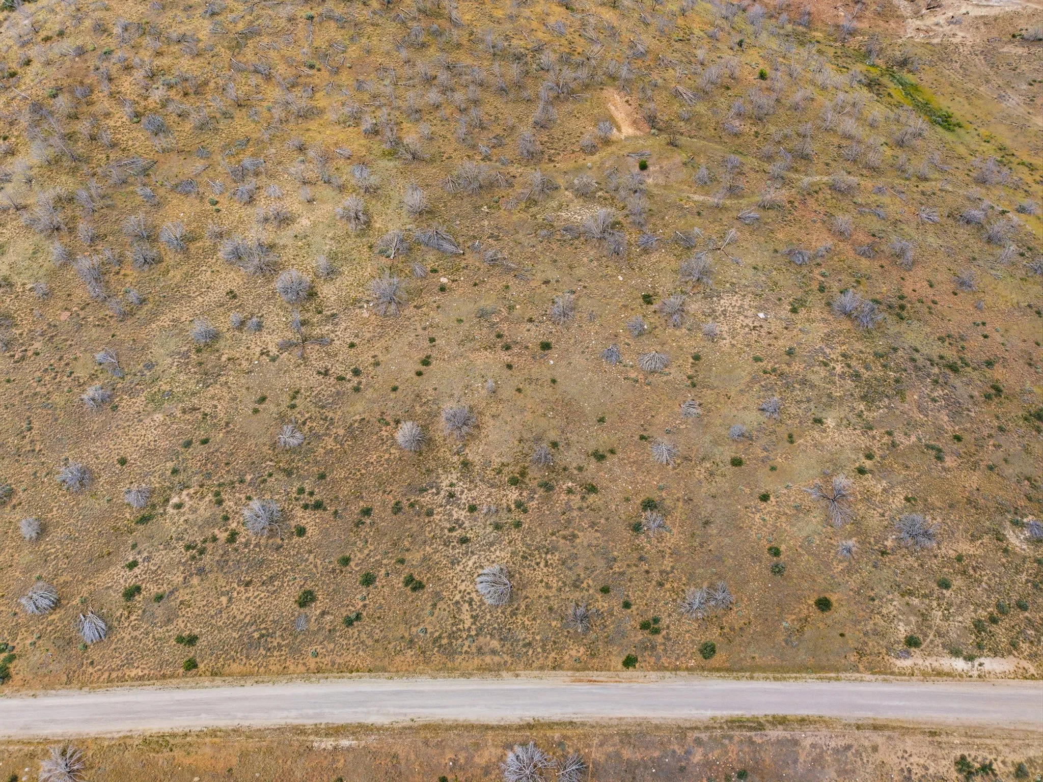 Expansive undeveloped hillside land with varied natural vegetation and a visible unpaved road at its base