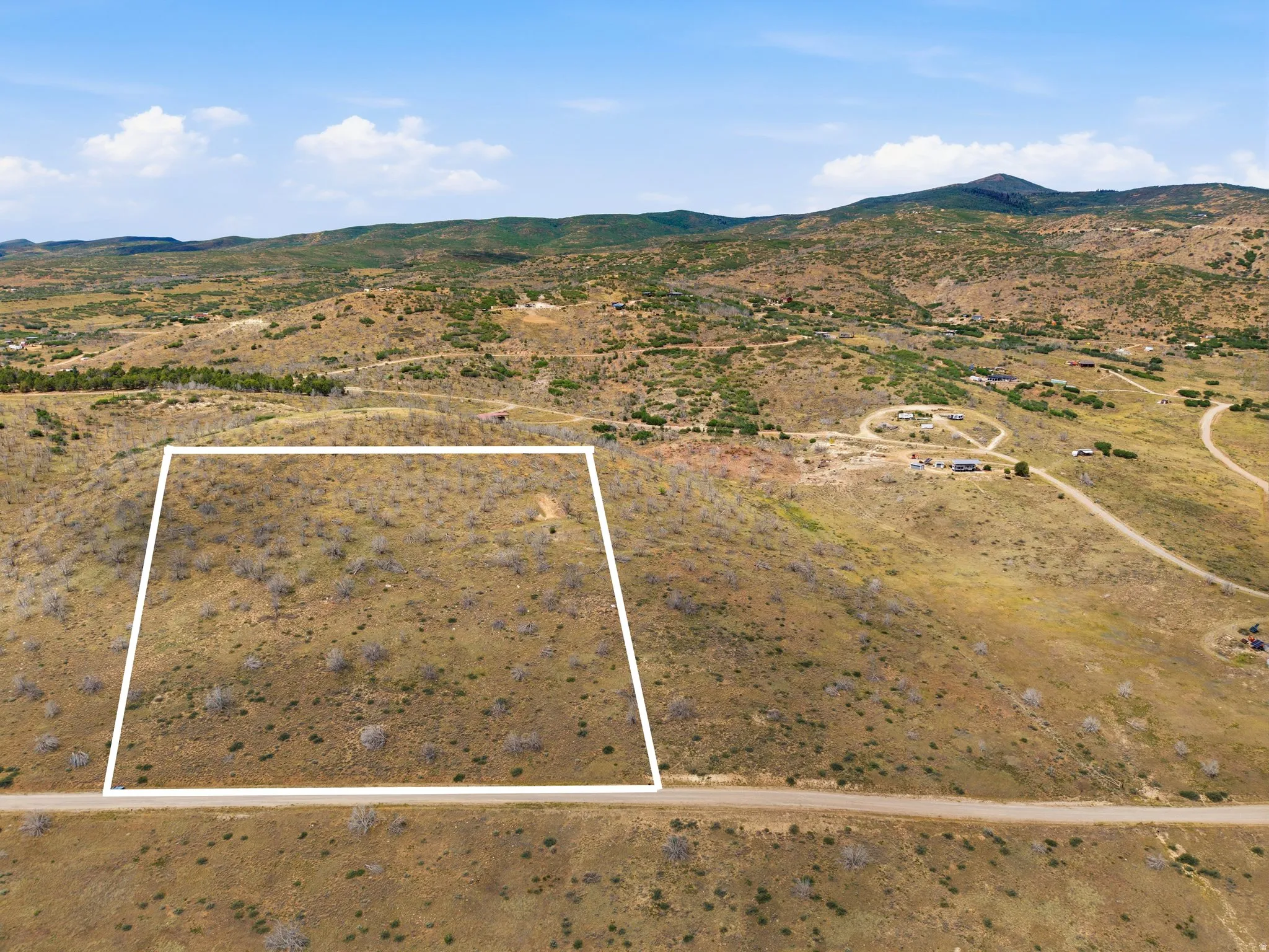 Expansive undeveloped land parcel featuring natural vegetation and direct road frontage