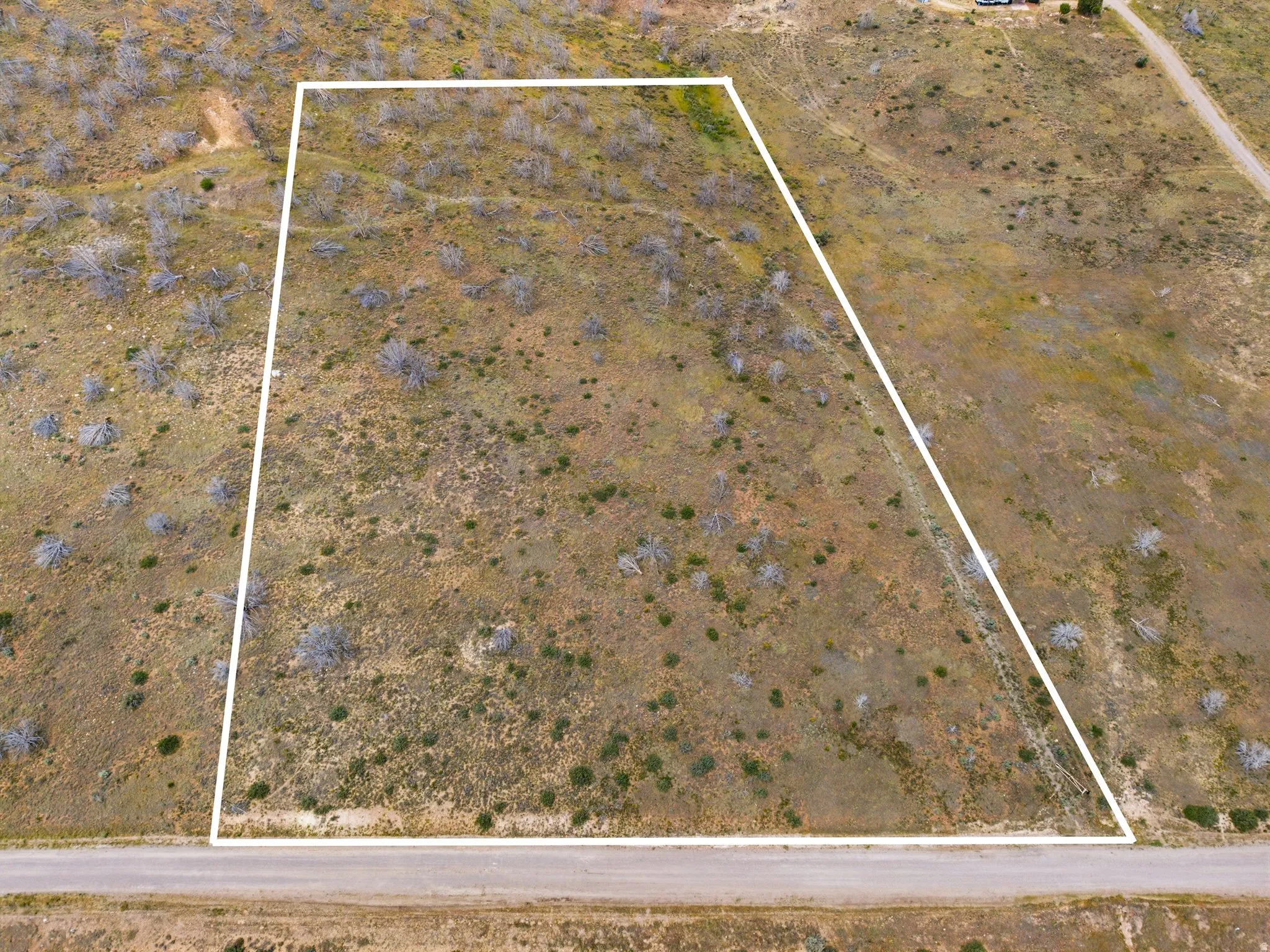 Expansive land parcel with natural vegetation
