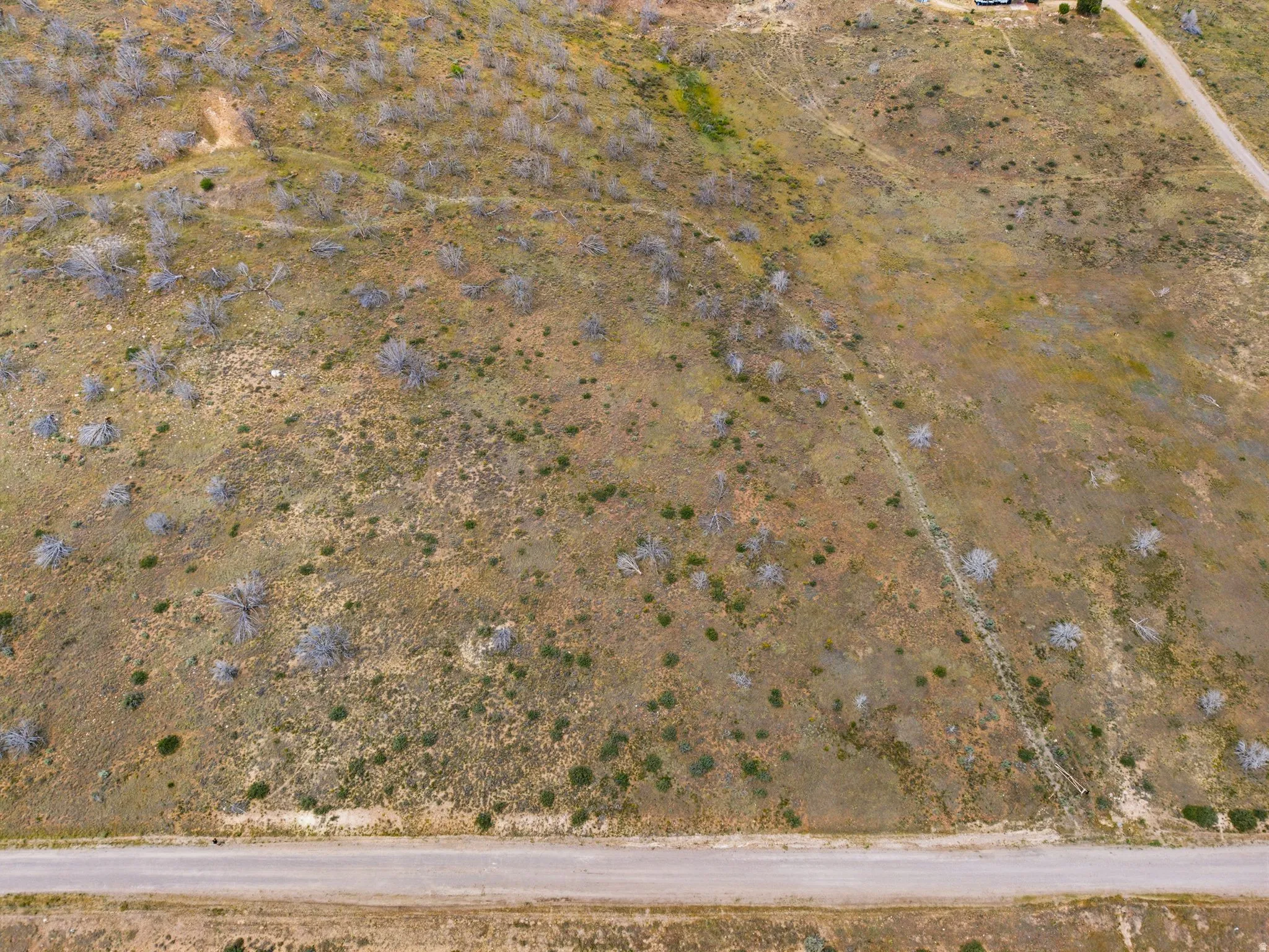 Expansive undeveloped land with a gravel road frontage