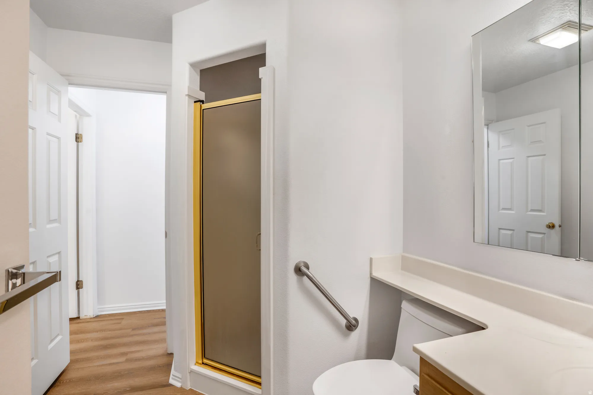Bathroom featuring a shower with a gold-framed frosted glass door, a toilet with a grab bar, a vanity with a light-colored countertop, a wall-mounted mirror, and wood-finish flooring