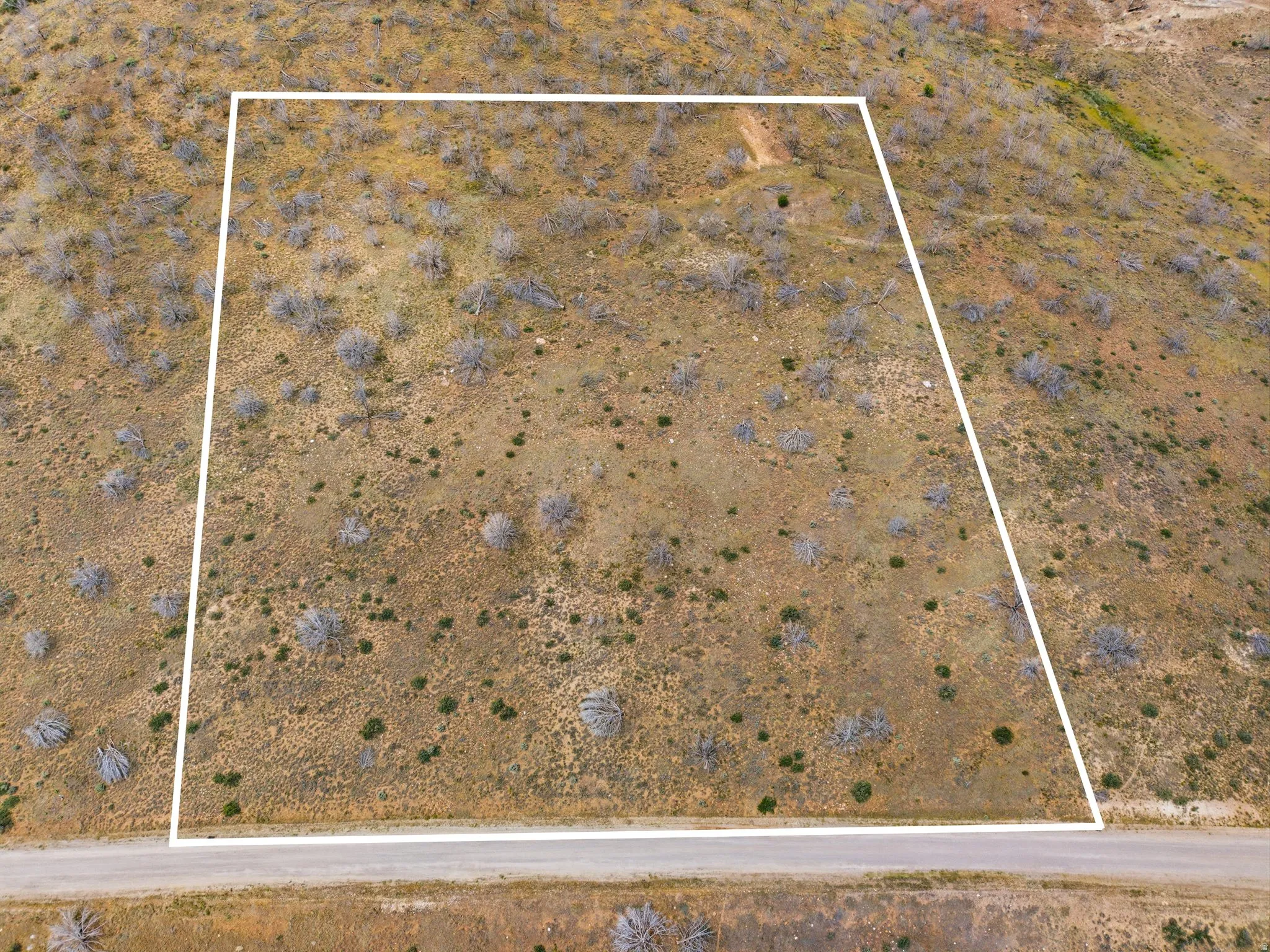 Expansive undeveloped lot featuring varied natural vegetation and a visible road frontage