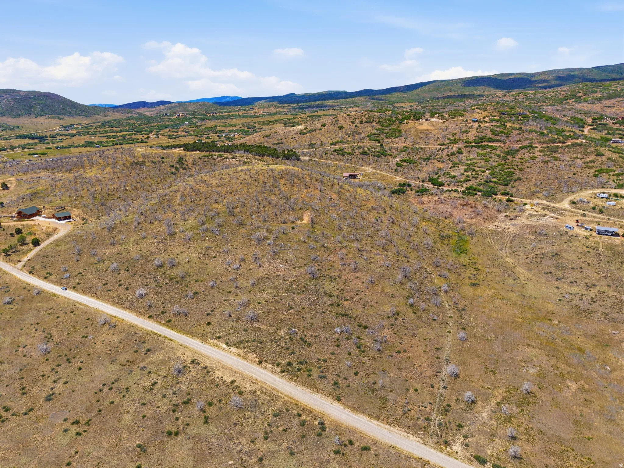 Expansive rural landscape featuring a dirt road and scattered vegetation