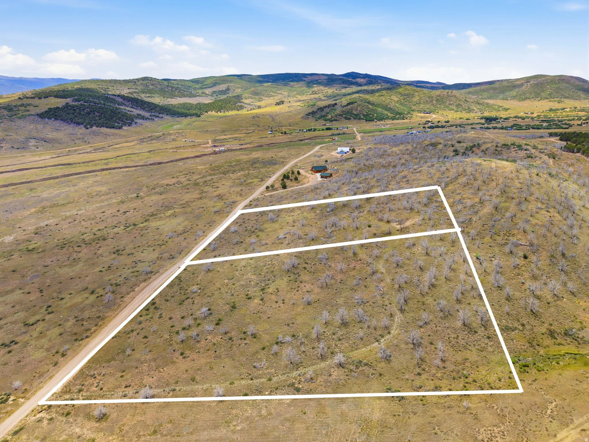 Expansive undeveloped land parcel with marked boundaries