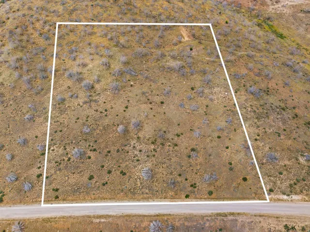 Expansive undeveloped lot featuring varied natural vegetation and a visible road frontage