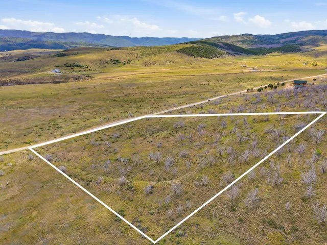 Expansive open land featuring diverse vegetation and distant mountainous terrain