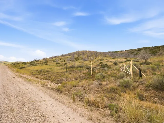 Expansive hillside property featuring a gravel road, natural vegetation, and a wooden gate