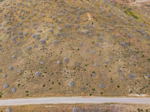 Expansive undeveloped hillside land with varied natural vegetation and a visible unpaved road at its base