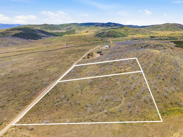 Expansive undeveloped land parcel with marked boundaries