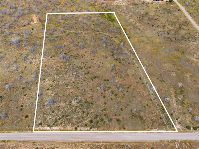 Expansive land parcel with visible boundary lines, featuring natural vegetation and direct road frontage