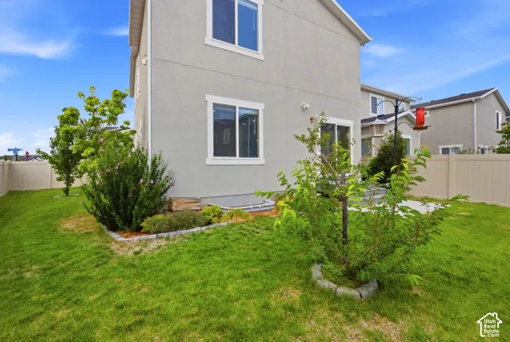 Expansive lawn area featuring a mature tree, an established shrub, and a privacy fence
