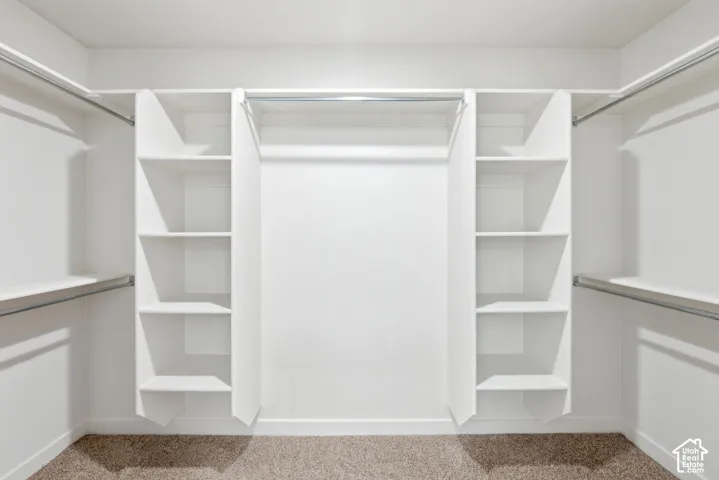 Walk-in closet featuring white built-in shelving, multiple hanging rods, and carpet flooring