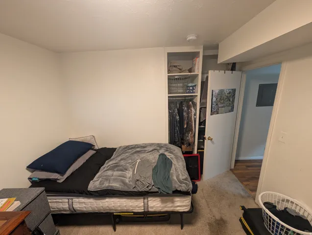 Carpeted room featuring a built-in closet with shelving and hanging storage