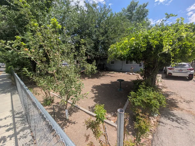 Front yard with mature trees and established plantings, featuring a chain-link perimeter fence and a paved driveway