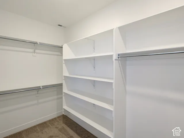 Walk-in closet featuring floor-to-ceiling white shelving, multiple tiers of metal clothing rods, and wall-to-wall carpeting