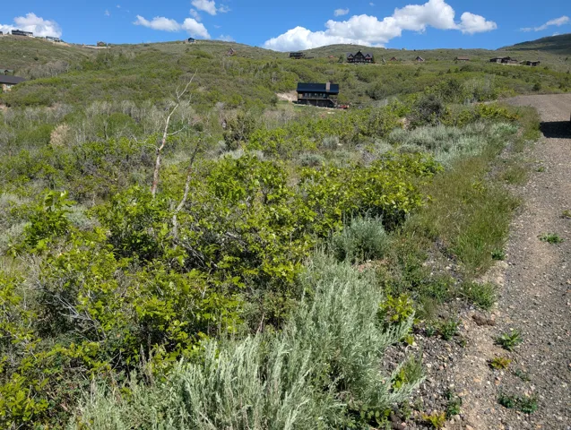 View to the East of the property.