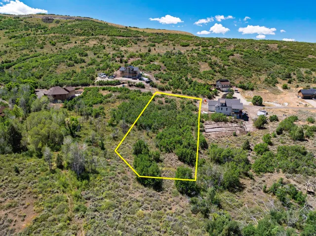 Expansive undeveloped land parcel with varied topography, abundant mature trees, and natural vegetation
